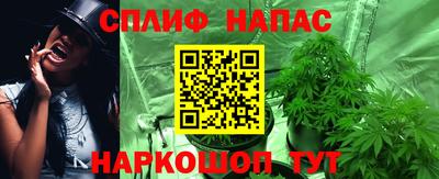 спиды Новокубанск