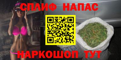 ГАЛЛЮЦИНОГЕННЫЕ ГРИБЫ Новозыбков