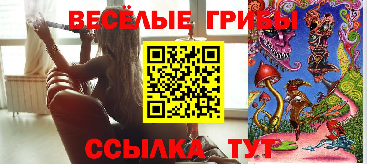 Галлюциногенные грибы GOLDEN TEACHER Торжок